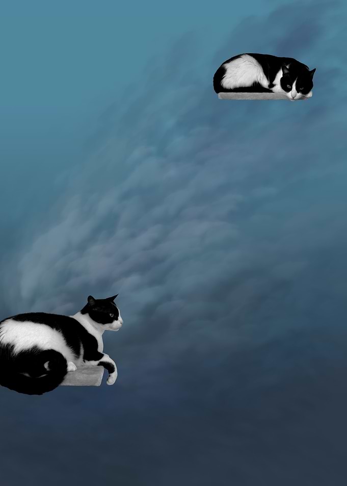Connecting MIrrors