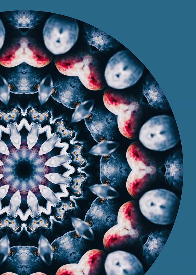 Blueberry Mandala