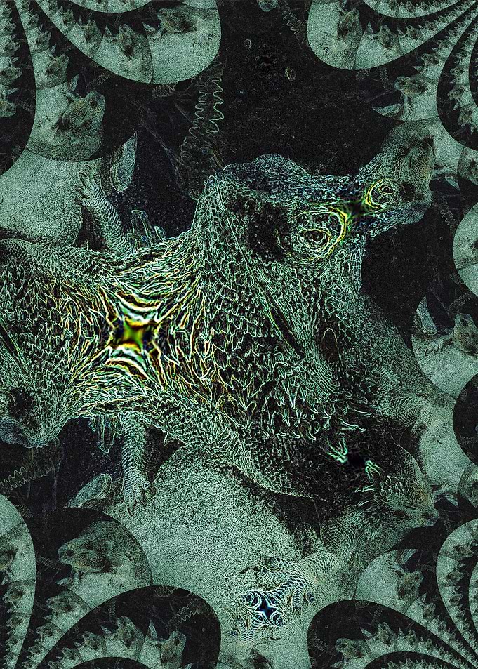 SchizLezard
