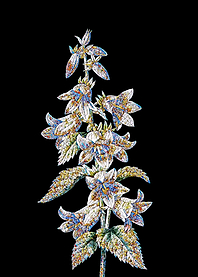 Bellflowers Mosaic