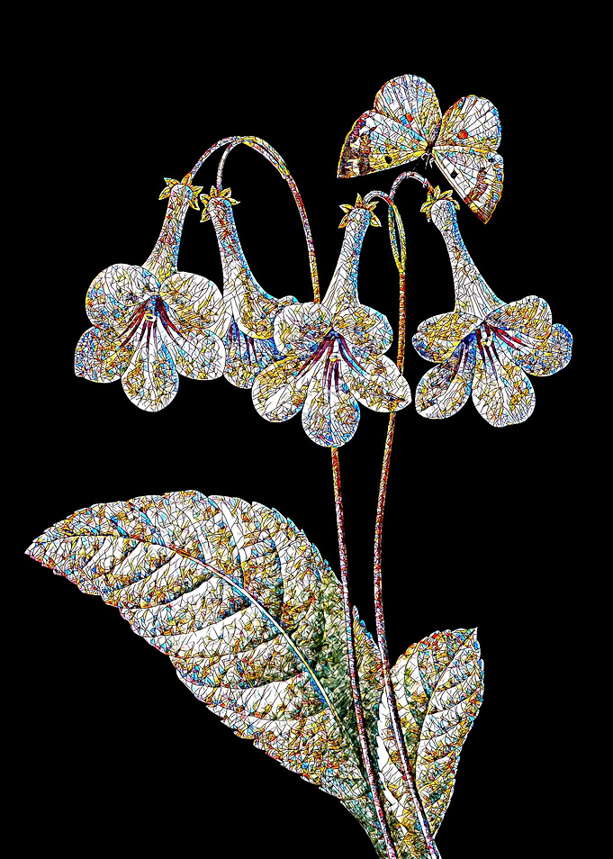 Canterbury Bells Mosaic
