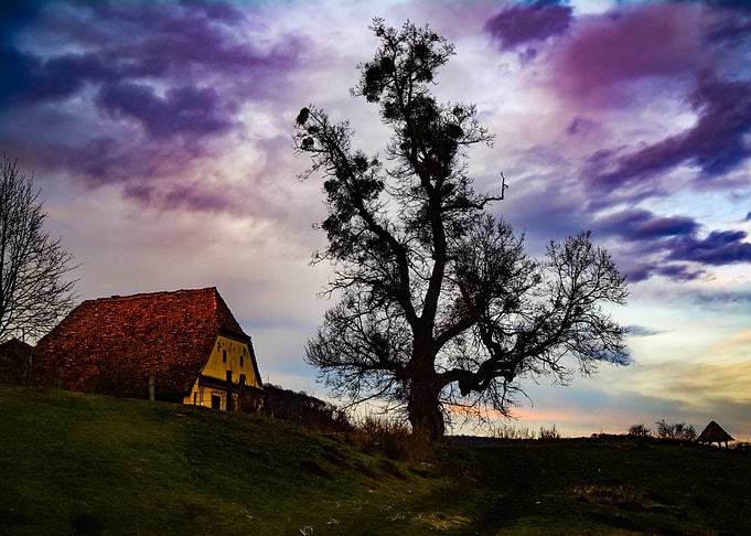 Evening scene