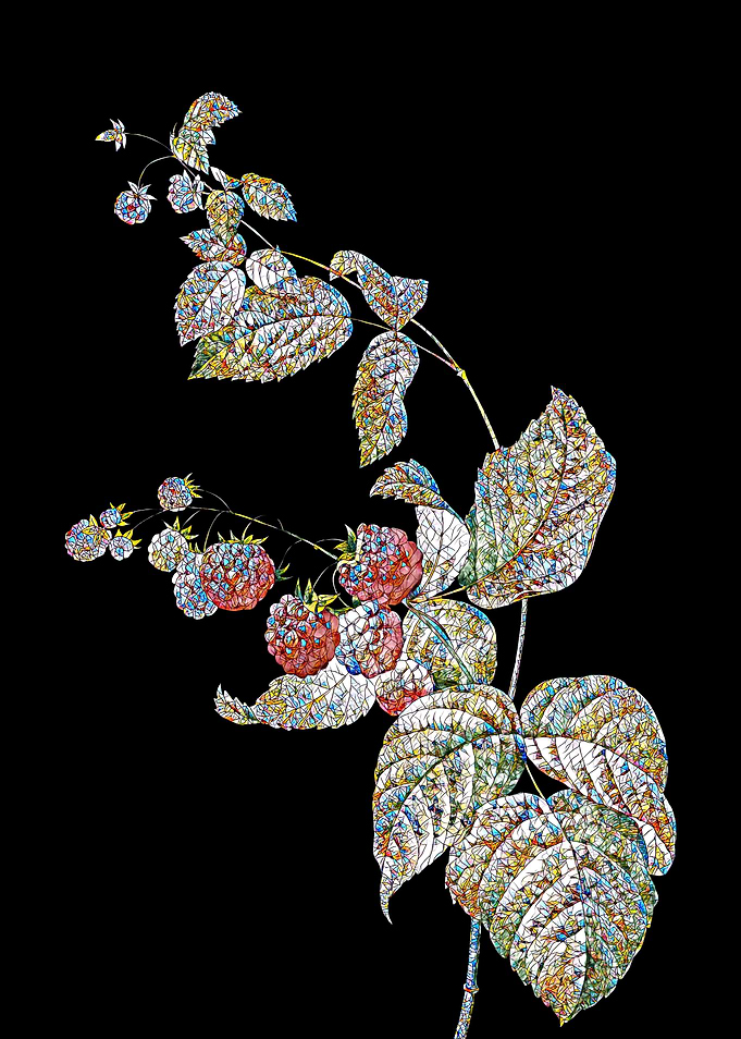 Berries Mosaic