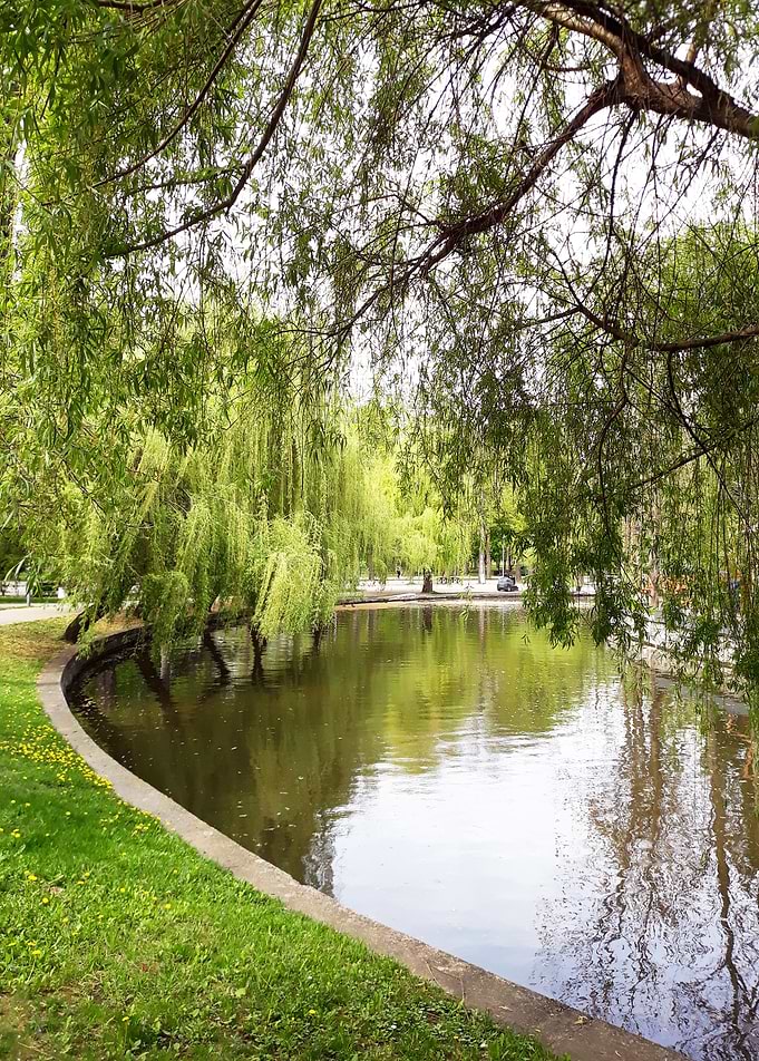 Park lake