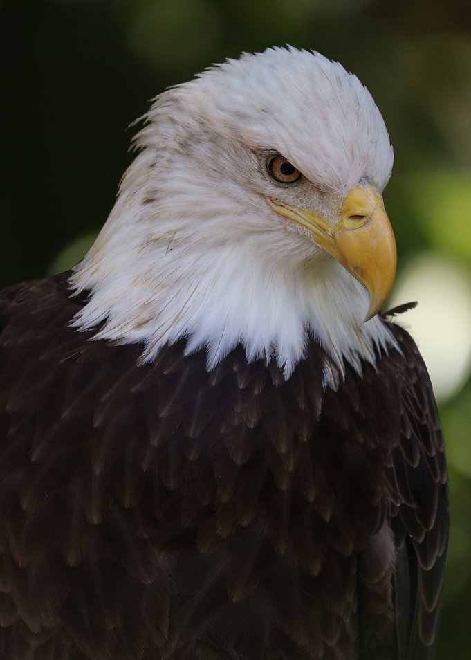 Solemn