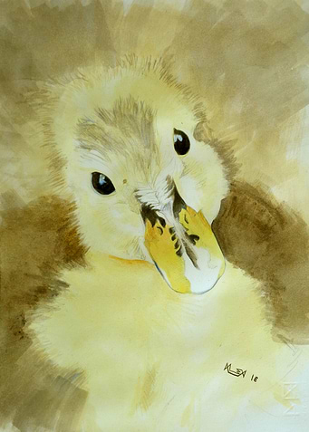 Innocent Eyes - Duck