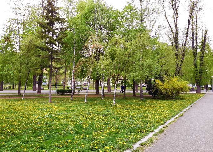 Walk in april