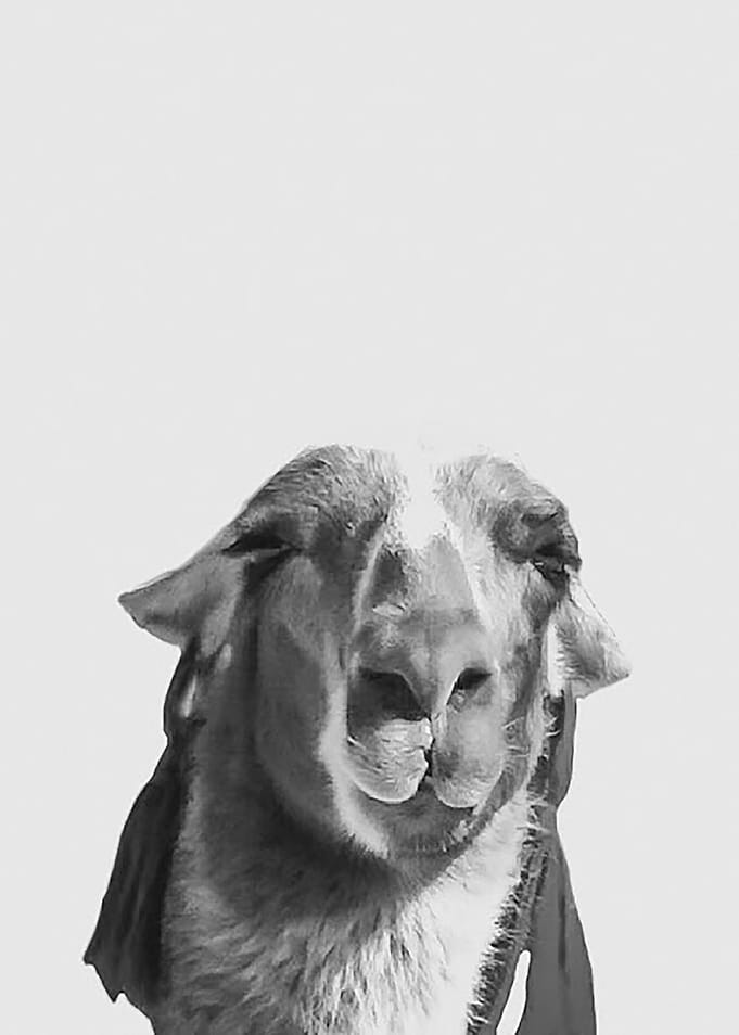 Whos a Pretty Girl bw