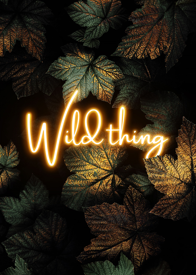 Wild Thing