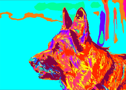 Color Bark
