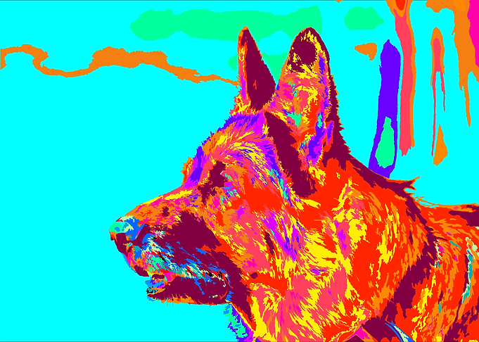 Color Bark