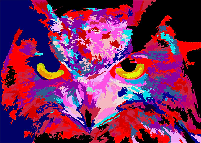 Owly