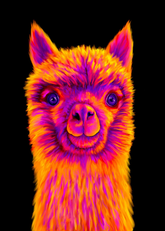 Alfred the Alpaca