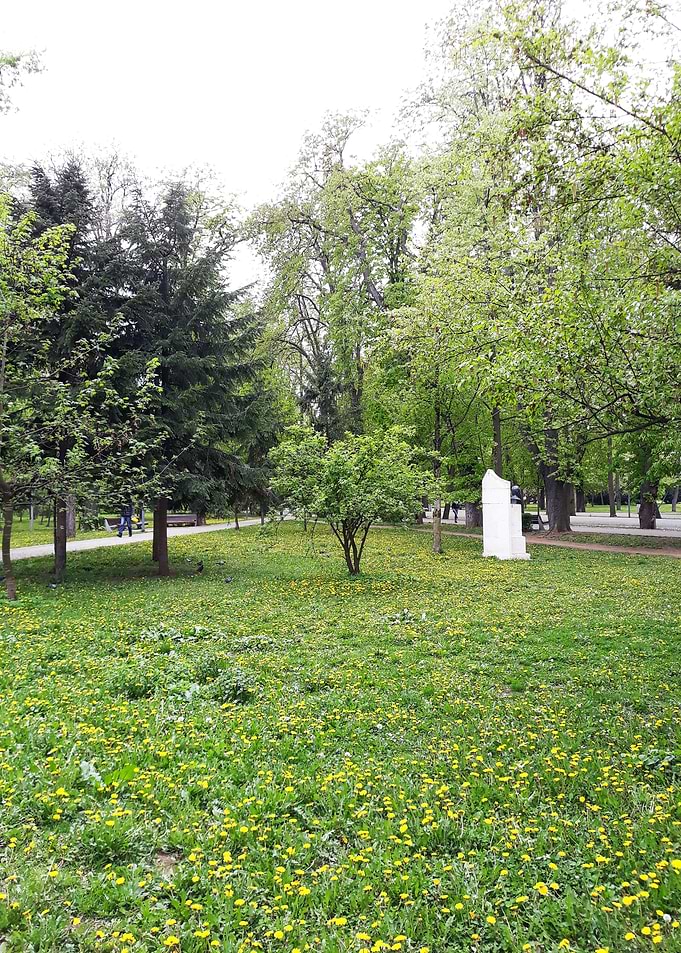 Place for dandelions