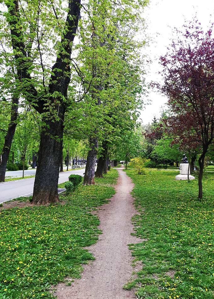 Alley in the grass