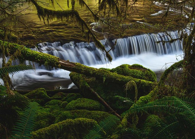 Vernal Enchantment
