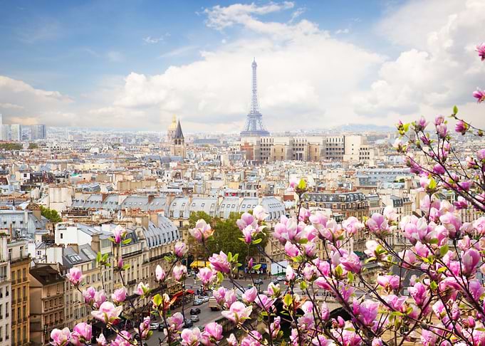 Paris 02 World Big City
