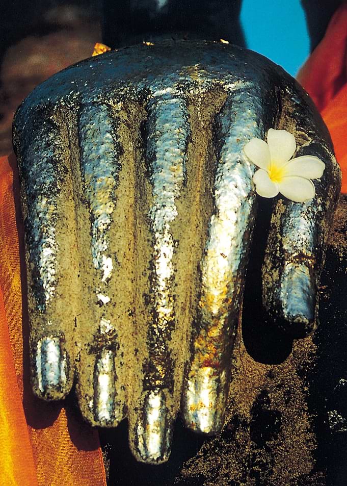 Hand of the Buddha