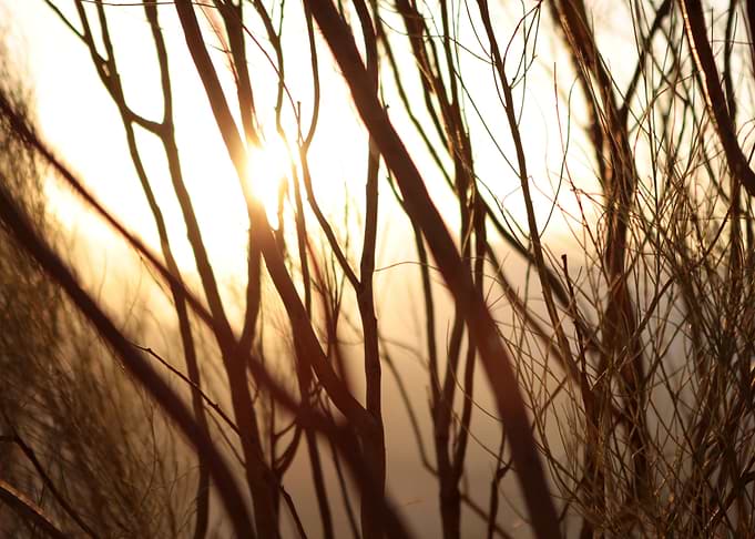 Amanecer en la naturaleza