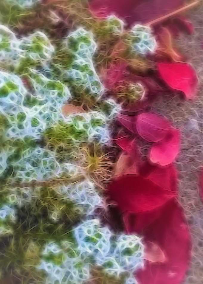 Fall Sidewalk