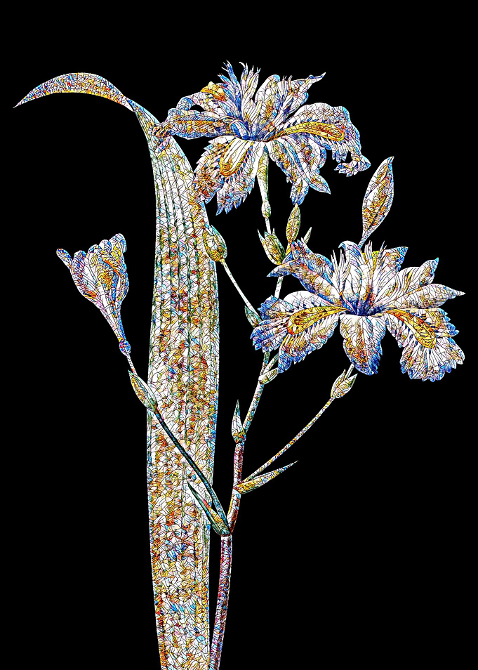 Butterfly Flower Mosaic