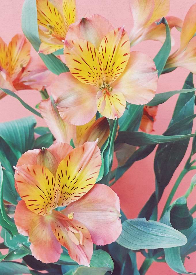 Spring Bouquet