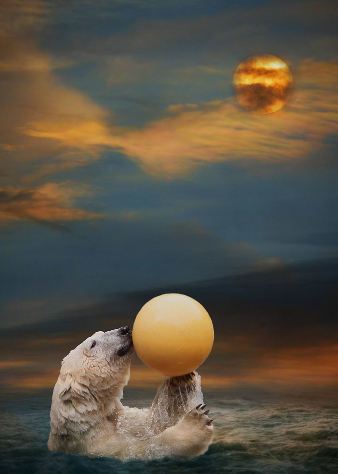 Got Ball
