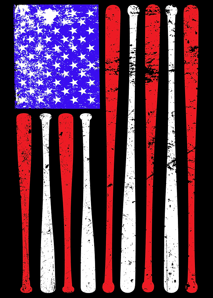 Baseball USA Flag