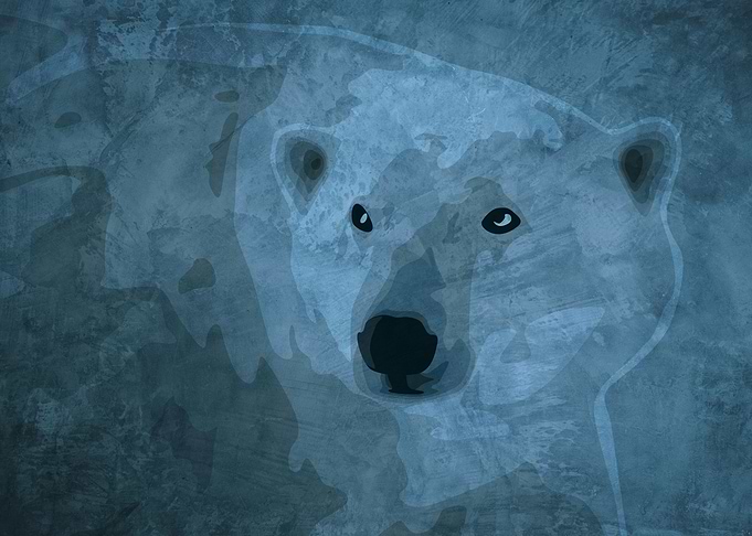 Alaska Bear in Snow Storm
