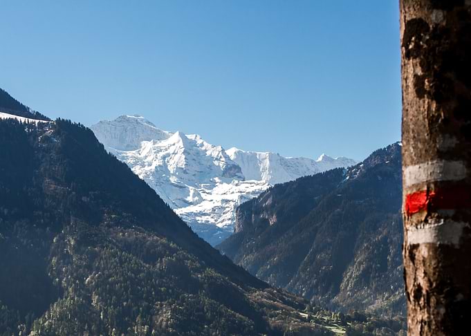 Swiss Alps behind mountain