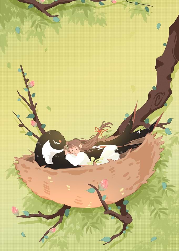 Birds Nest