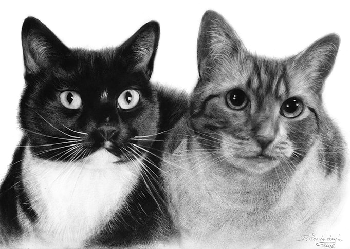 Friends