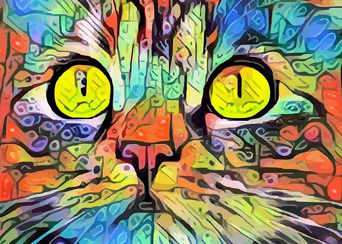Rainbow Cat
