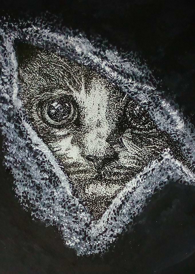 Stippling Art