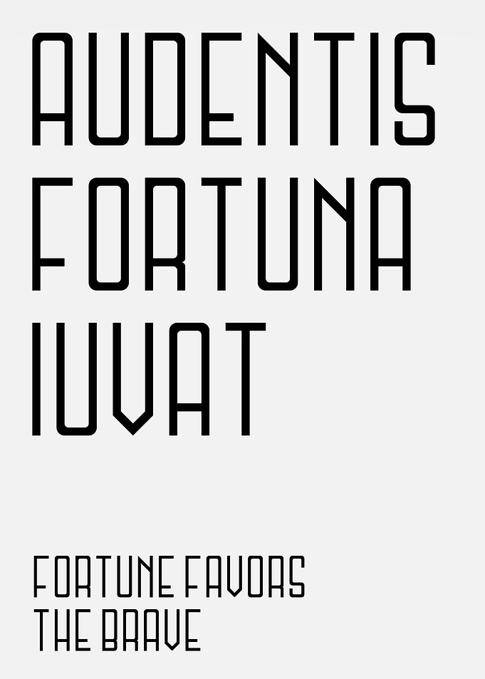 Fortune Favors The Brave