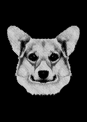 Corgi