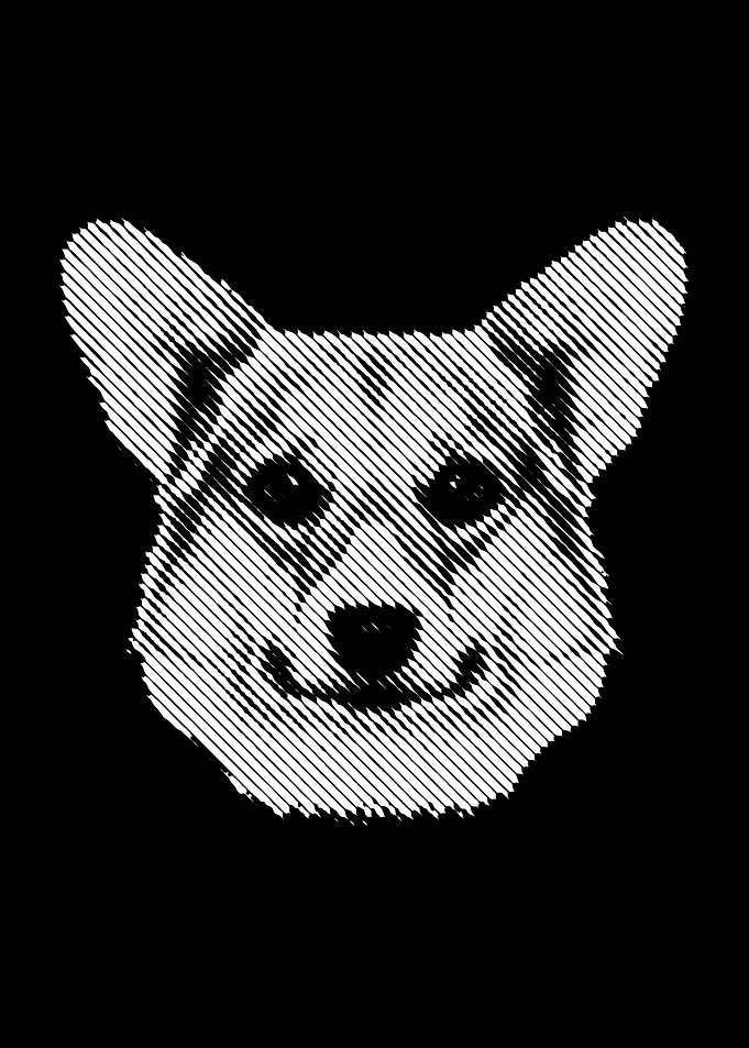 Corgi