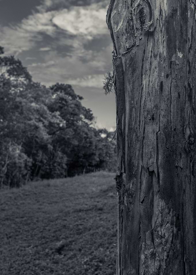 Hidden