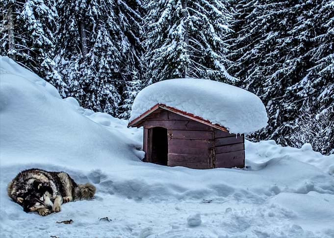 Winter Coziness