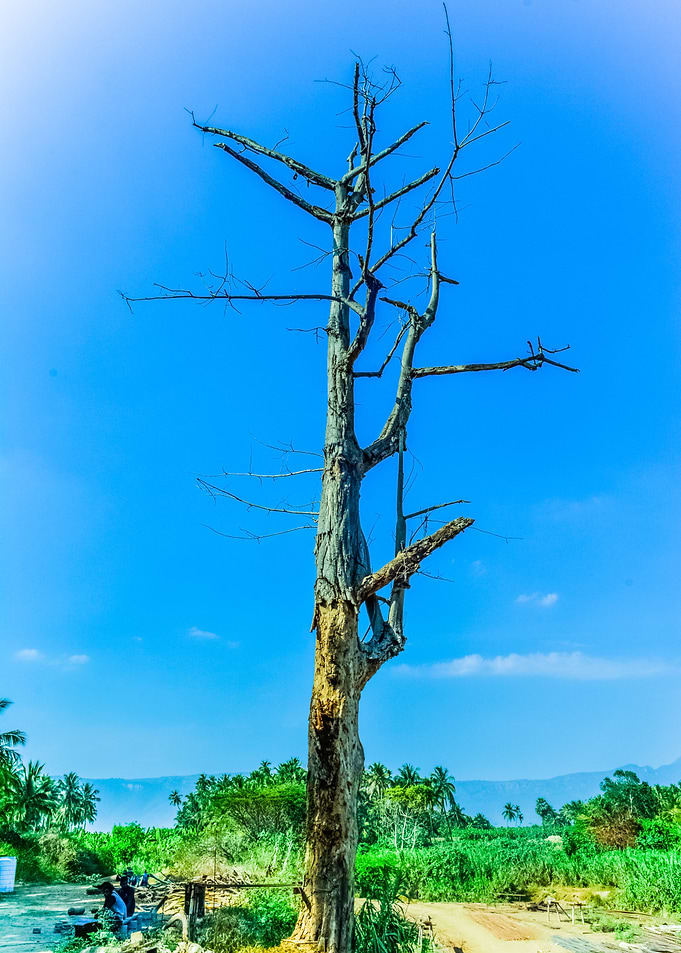 Indiana
