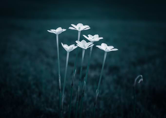 Blue Calm