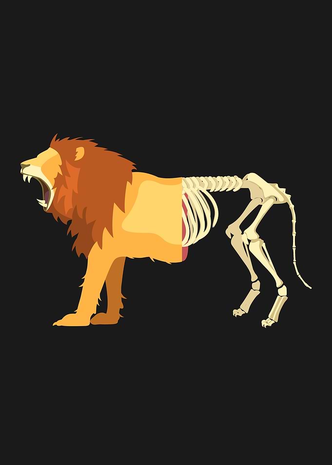 Lion LifeDeath