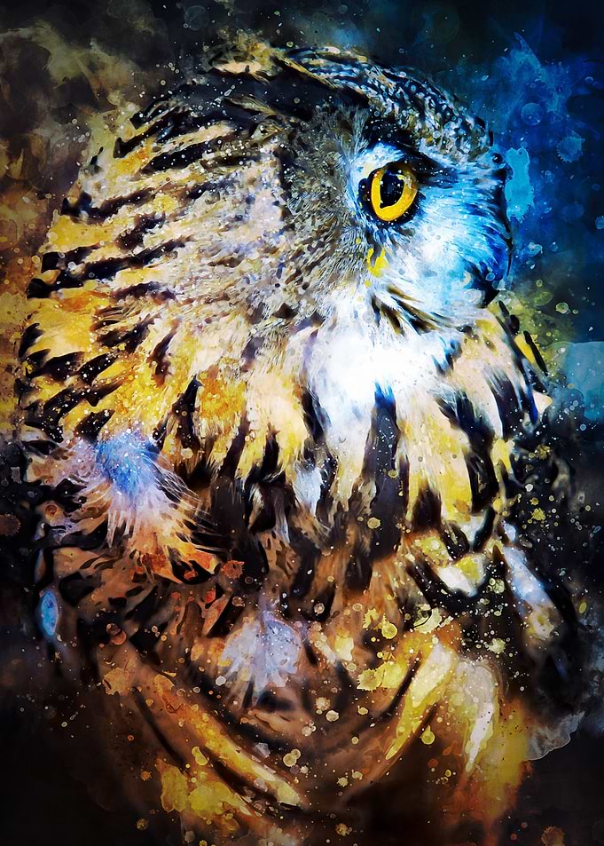 Watercolor Owl