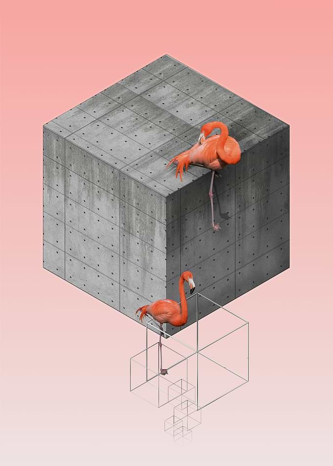 The Lazy Flamingo