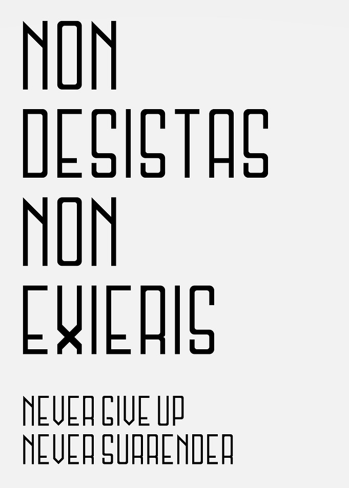 Never Give Up