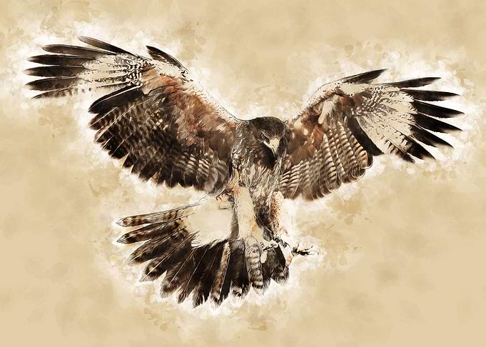Eagle retro