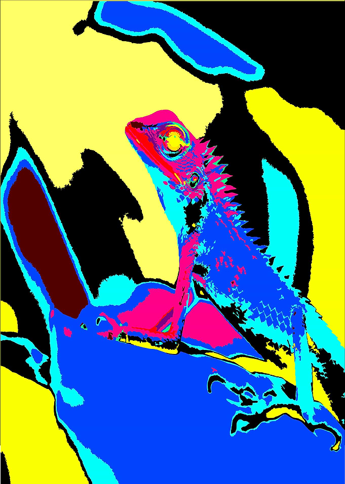 Lizard