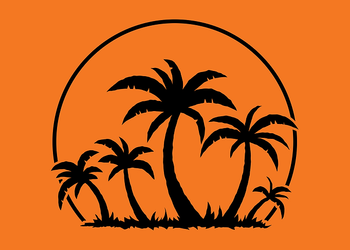 Palms and Sunset in Black
