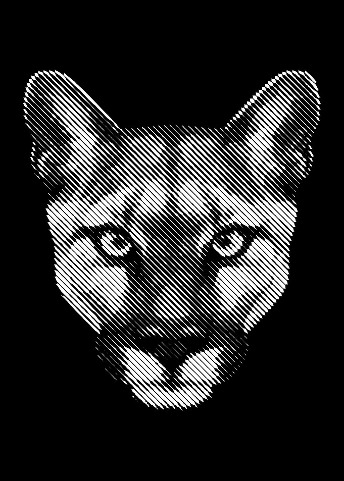 Cougar