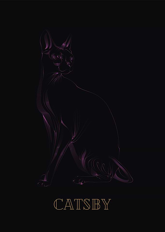 Catsby Purple on Black